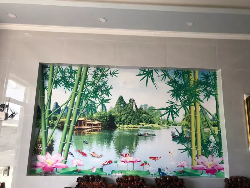 Cong trinh thi cong tranh dan tuong can tho 01