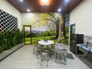 Cong trinh thi cong tranh dan tuong can tho 12