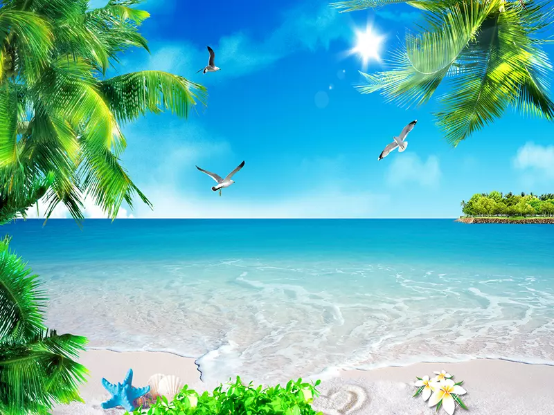 Tranh dan tuong can tho canh bien hm10