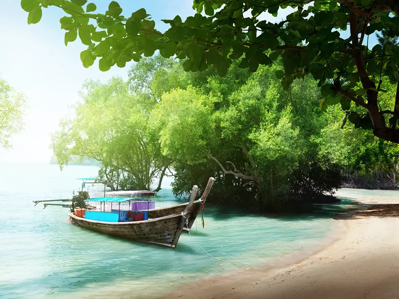 Tranh dan tuong can tho canh bien hm526