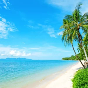 Tranh dan tuong can tho canh bien hm724
