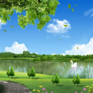 Tranh dan tuong can tho phong canh hm77