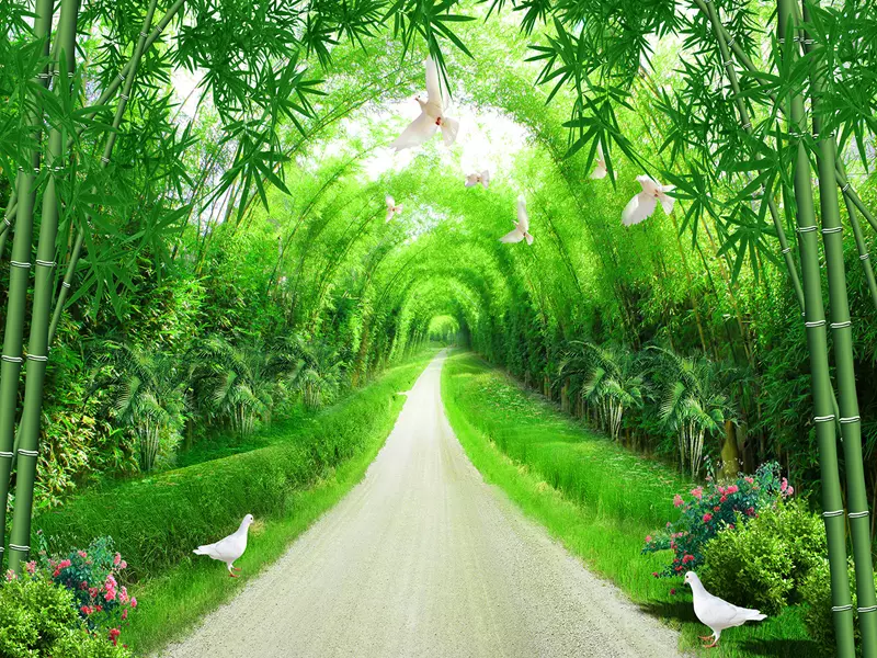 Tranh dan tuong can tho phong canh hm7762