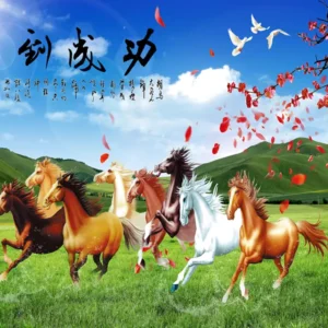 Tranh dan tuong can tho phong thuy hm